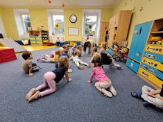 Fyzioterapeutické cvíčení